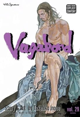Vagabond, Vol. 29