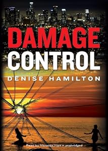 Damage Control: A Novel