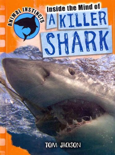 Inside the Mind of a Killer Shark by Tom Jackson