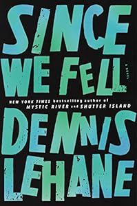 Since We Fell: A Novel