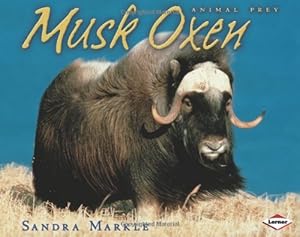 Musk Oxen (Animal Prey)