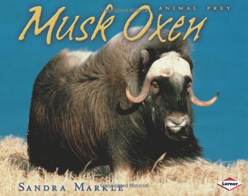 Musk Oxen (Animal Prey) by Sandra Markle