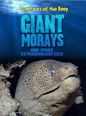Giant Morays and Other Extraordinary Eels