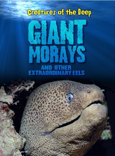 Giant Morays and Other Extraordinary Eels by Casey Rand