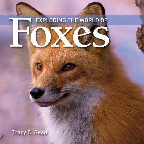 Exploring the World of Foxes by Tracy Read