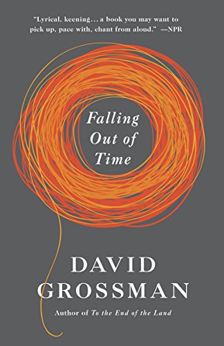 Falling Out of Time by David Grossman