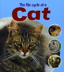 The Life Cycle of a Cat (Learning About Life Cycles)