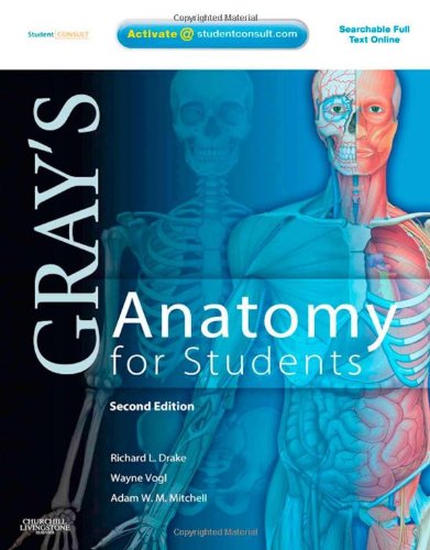 Gray's Anatomy for Students: With STUDENT CONSULT Online Access, 2e by Richard L. Drake