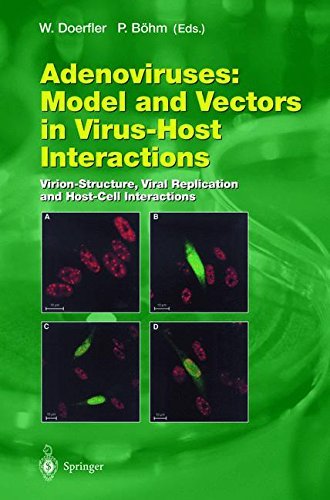 Adenoviruses: Model and Vectors in Virus-Host Interactions: Virion-Structure, Viral Replication and Host-Cell Interactions (Current Topics in Microbiology and Immunology Book 272) by Walter Doerfler