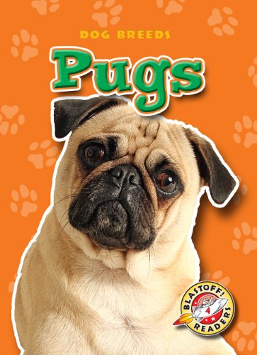 Pugs by Anne Wendorff