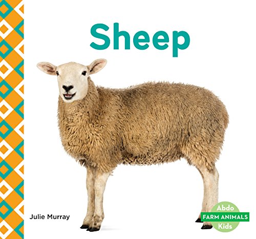 Sheep by Julie Murray