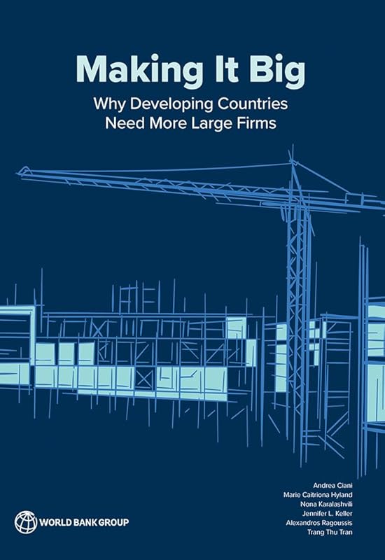 Making It Big: Why Developing Countries Need More Large Firms by Andrea Ciani