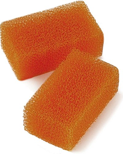 Scout None Hat Sponge