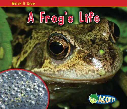 A Frog's Life by Nancy Dickmann