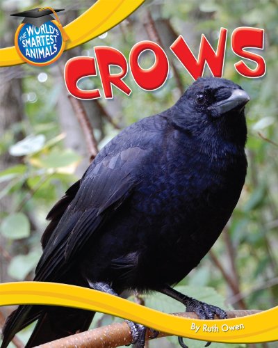 Crows by Ruth Owen
