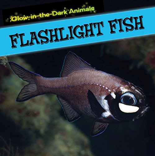 Flashlight Fish by Caitie Mcaneney