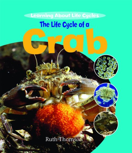The Life Cycle of a Crab (Learning About Life Cycles) by Ruth Thomson