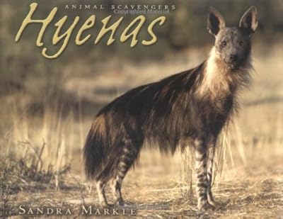 Hyenas (Animal Scavengers)