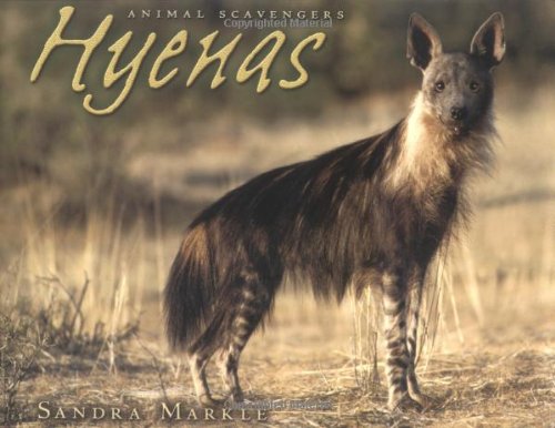 Hyenas (Animal Scavengers) by Sandra Markle