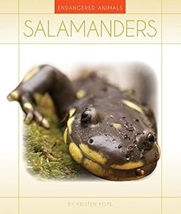 Salamanders