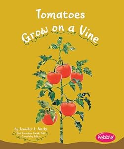 Tomatoes Grow on a Vine