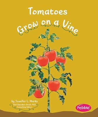 Tomatoes Grow on a Vine