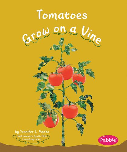Tomatoes Grow on a Vine by Mari Schuh