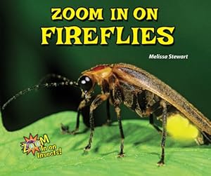 Zoom In on Fireflies