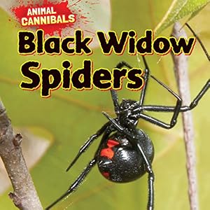 Black widow spiders