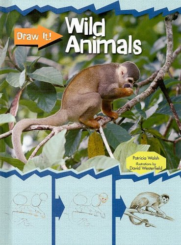 Wild Animals (Draw It! (2nd Edition)) by Patricia Walsh