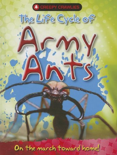 The Life Cycle of Army Ants (Creepy Crawlies (New Forest Press)) by Clint Twist