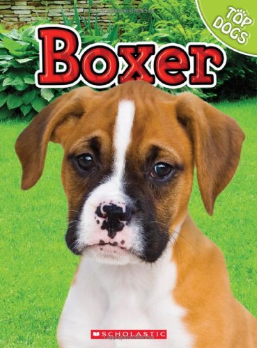 Boxer by Charles George