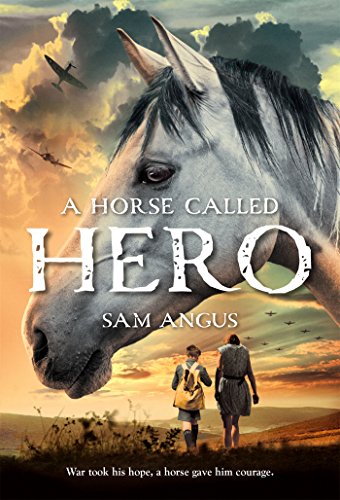 A Horse Called Hero by Sam Angus