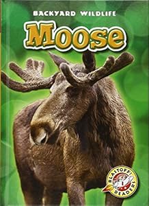 Moose
