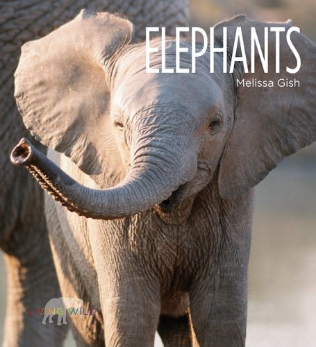 Elephants by Melissa Gish