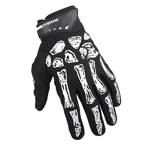 Algopix Similar Product 12 - 