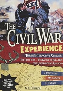 The Civil War Experience