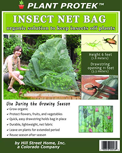 Algopix Similar Product 1 - Insect Net Bag  6 Feet Tall 