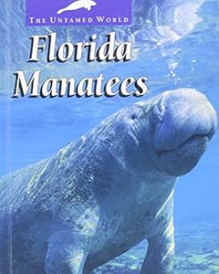 Florida Manatees (Untamed World) by J. David Taylor
