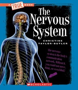 The Nervous System