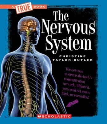 The Nervous System