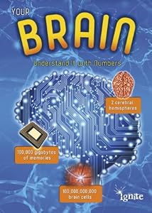 Your Brain: Understand It with Numbers