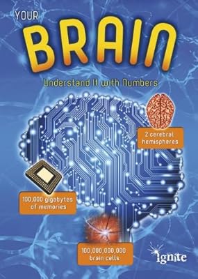 Your Brain: Understand It with Numbers