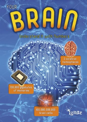 Your Brain: Understand It with Numbers by Melanie Waldron