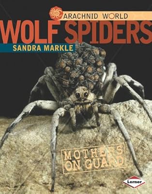 Wolf Spiders: Mothers on Guard