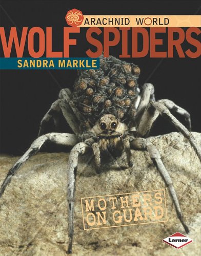 Wolf Spiders: Mothers on Guard by Sandra Markle