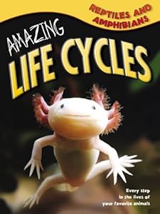 Reptiles &amp; Amphibians