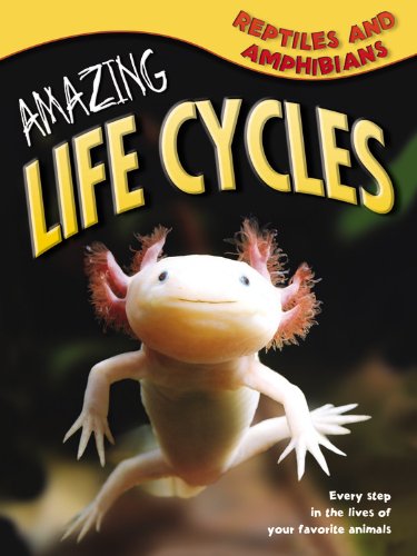 Reptiles &amp; Amphibians by Brian Williams