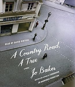 A Country Road, A Tree: A Novel