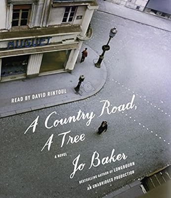 A Country Road, A Tree: A Novel
